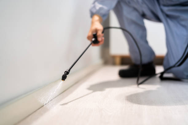 Licensed Pest Control service in Bellaire, TX - Show Me Pest Control